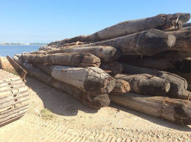 Un mucchio di tronchi di legno scuro e consumati dal tempo, accatastati su una spiaggia sabbiosa accanto ai binari di un mezzo pesante, con l'acqua in lontananza.