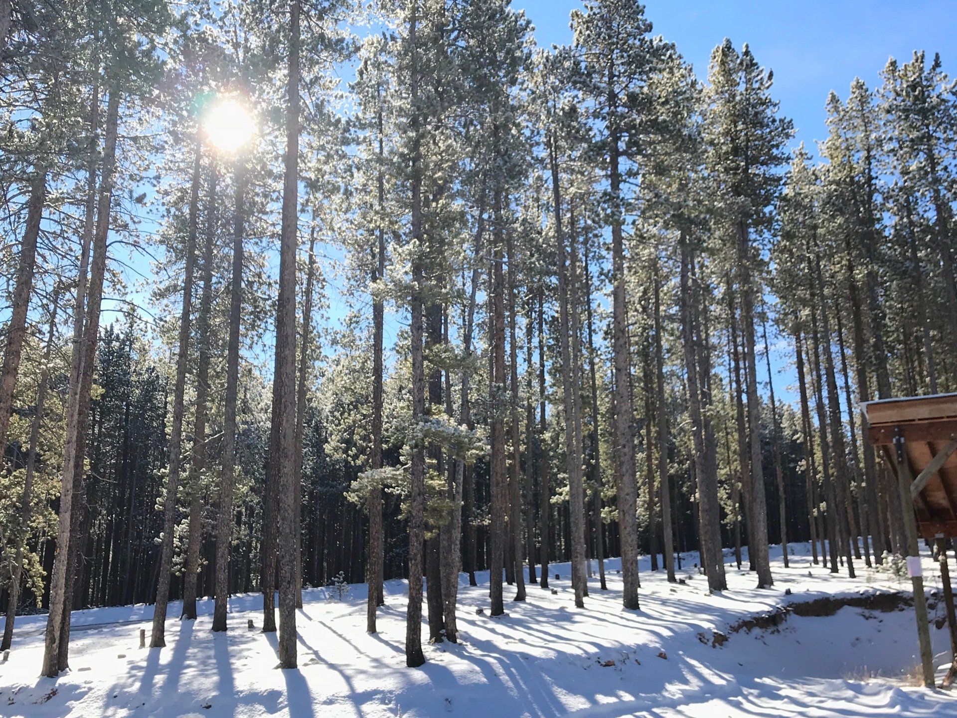 ethan_kotel_audio_colorado_recording_evergroove_studio_beautiful_nature_sun.png