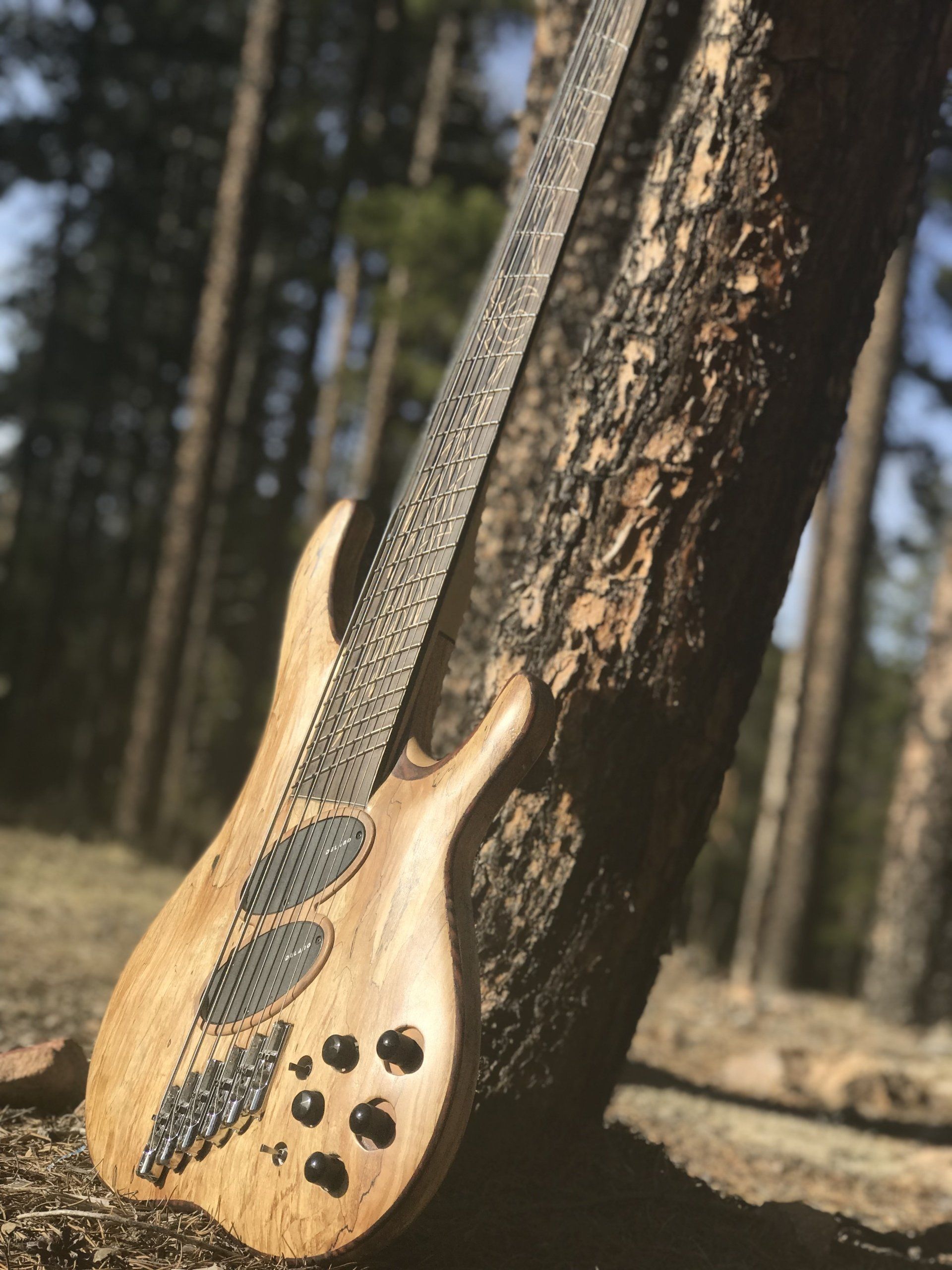 ethan_kotel_audio_colorado_recording_howie_guitars_bass_guitar_luthier.png