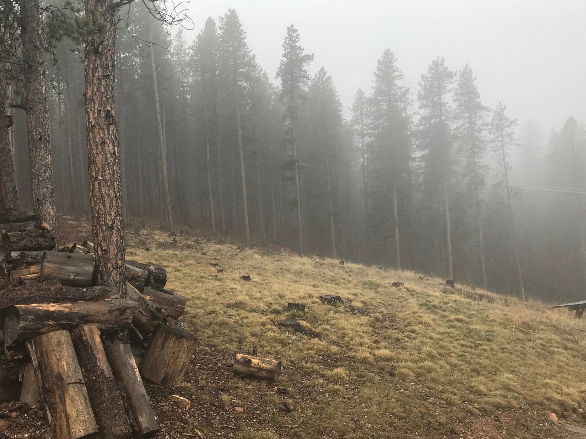 ethan_kotel_audio_colorado_recording_evergroove_studio_beautiful_nature.png
