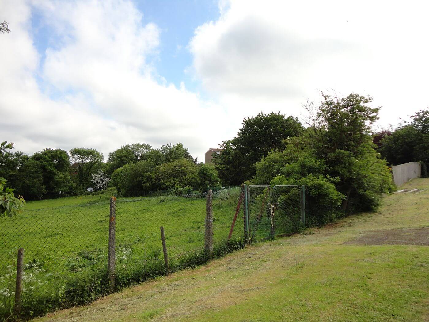 Elstree field