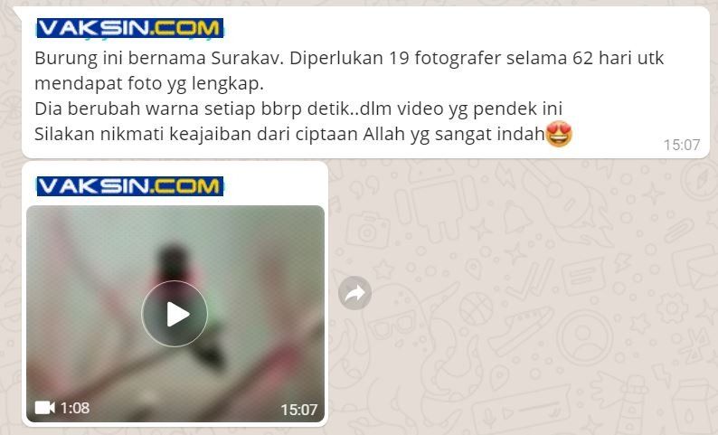 Hoax Surakav yang menyebar melalui Whatsapp