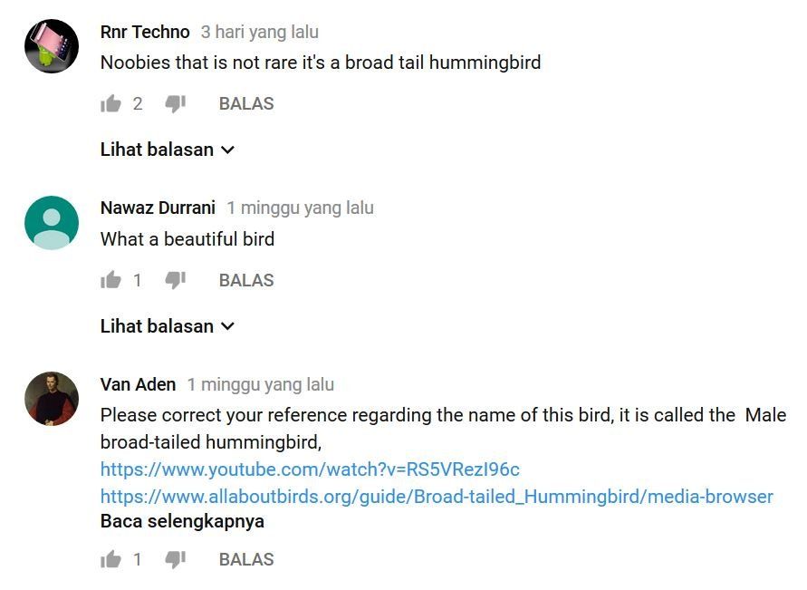 Penyebar video Surakav mendapatkan komentar pedas dari netter