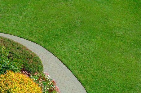 Soft landscaping