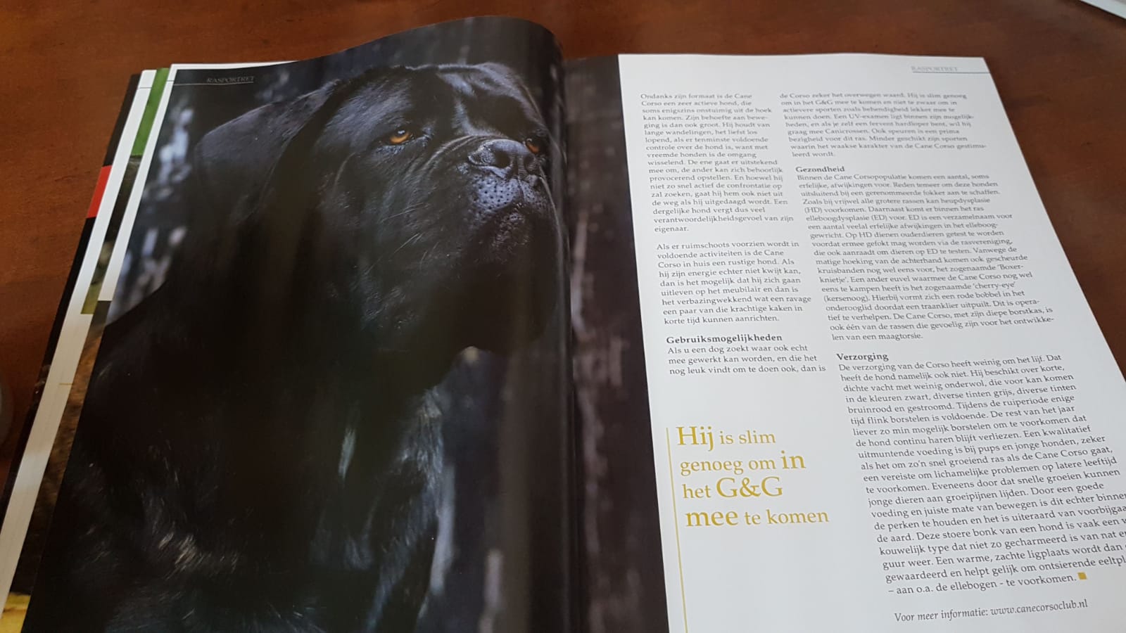 Onassis in Onze Hond