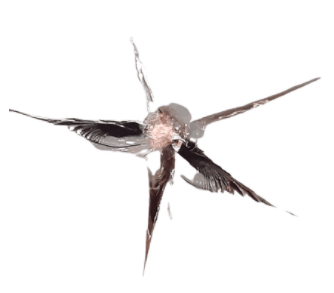 A bird is flying through a broken windshield on a white background.