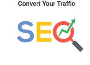 A logo for seo that says convert your traffic