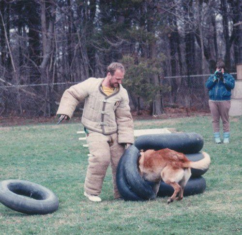 Professional dog trainer in bite suit training a dog at The K9 Center