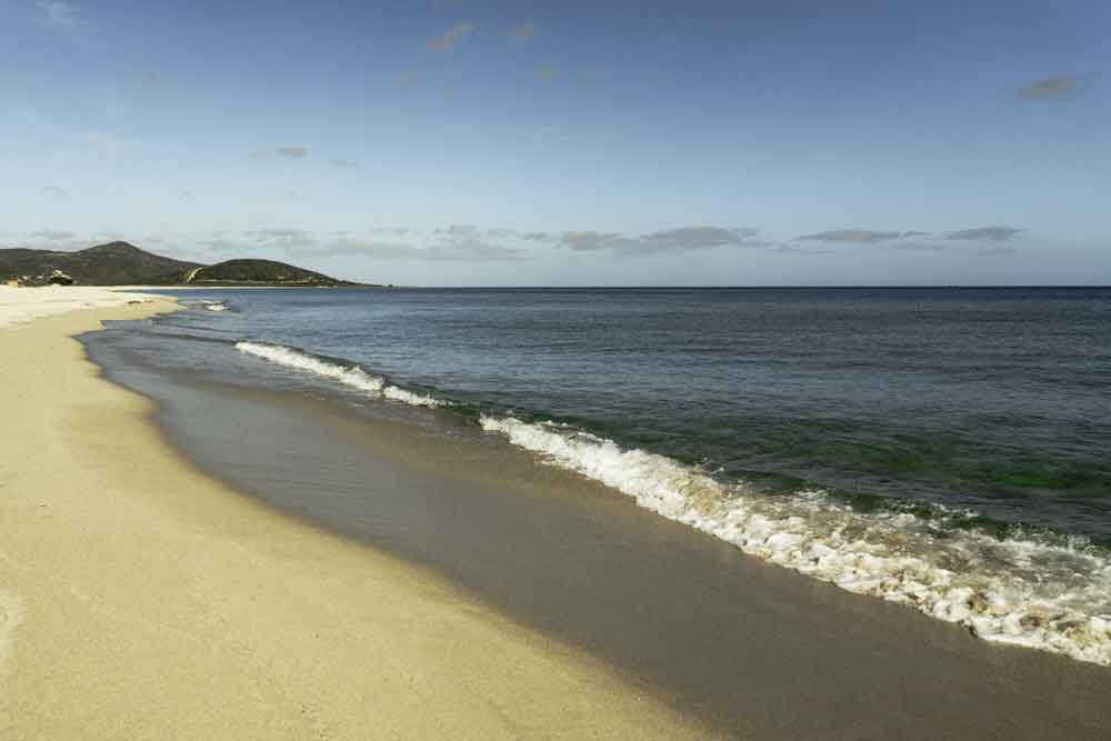 beach near the house