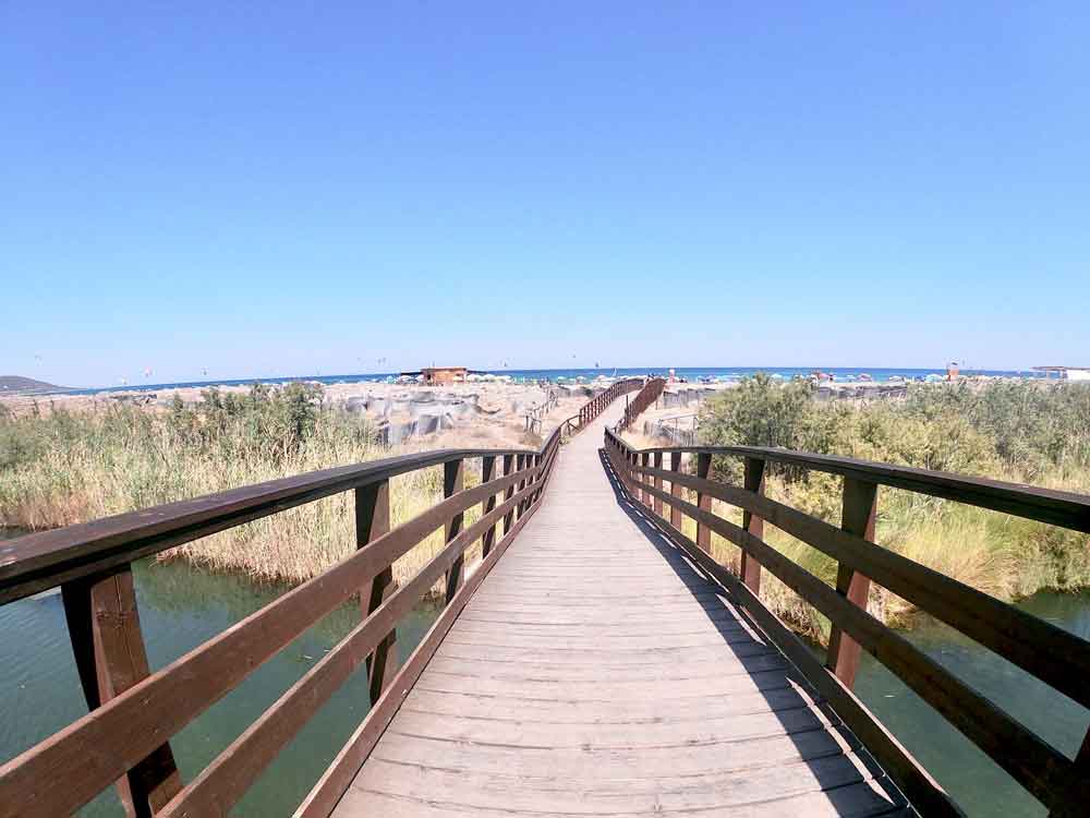 beach with wooden pier