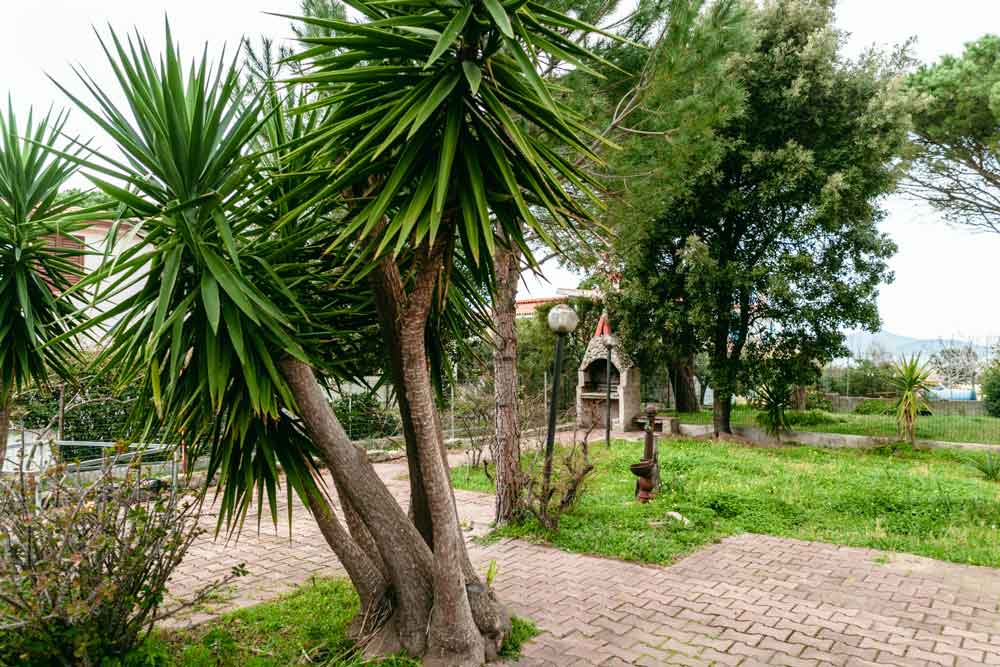 Casa Santu Juanne garden