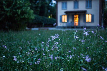 stone-flowers-in-front-of-house-