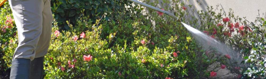 Spraying Yard — Port St. Lucie, FL — Goodfella's Pest Management Inc