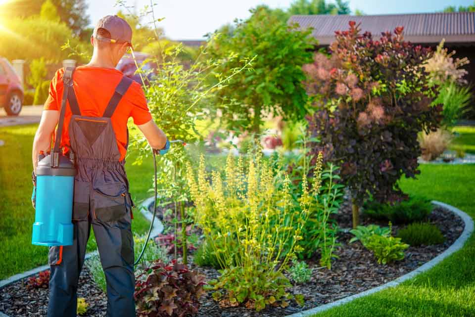Spraying Plants Outside the House — Port St. Lucie, FL — Goodfella's Pest Management Inc