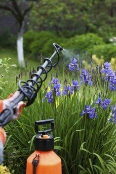 Spraying Plants — Port St. Lucie, FL — Goodfella's Pest Management Inc Spraying Plants — Port St. Lucie, FL — Goodfella's Pest Management Inc