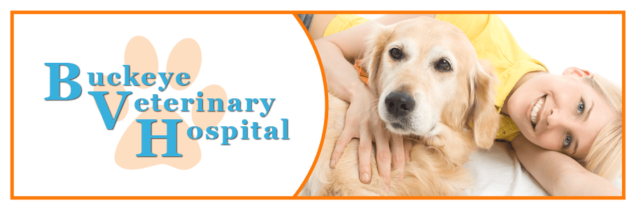 Buckeye Veterinary Hospital Buckeye Veterinary Hospital