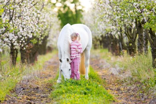 Young Girl with a Horse - Animal Clinic in Edgerton, OH Young Girl with a Horse - Animal Clinic in Edgerton, OH