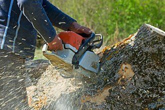 Tree Cutting - Tree Maintenance Company in Vienna, VA