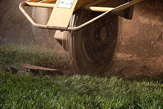 Stump Grinder - Certified Arborist in Vienna, VA