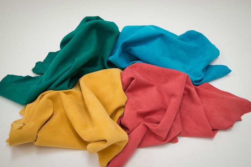 COLORI CAMOSCIO