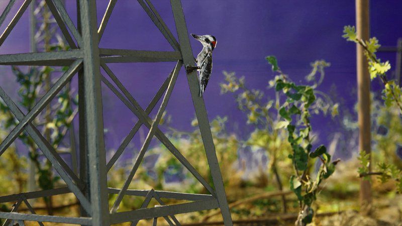 Bird perched on metal tower against a hazy blue sky, with green foliage.