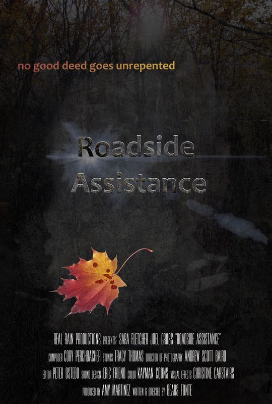 Movie poster for