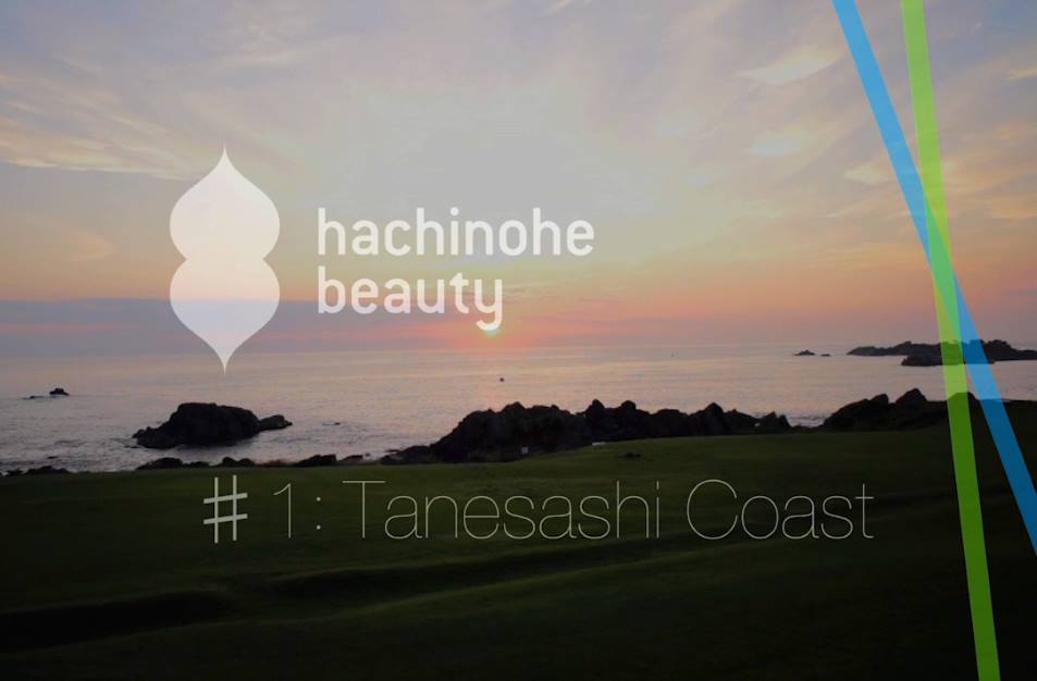 Sunset over the Tanesashi Coast in Hachinohe, Japan. Coastline, green grass, and stylized logo.