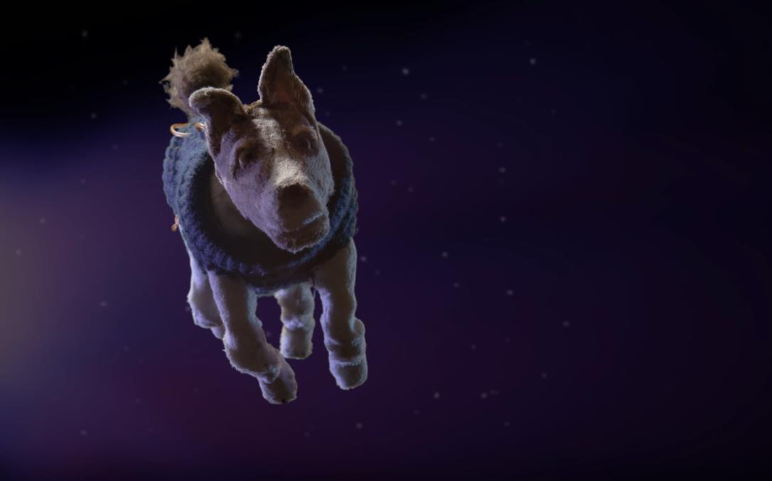 Dog in a blue sweater floats in a starry, dark space, looking forward with a happy expression.