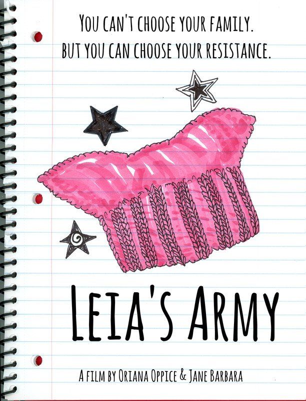 Movie poster: Pink knitted hat with stars; title