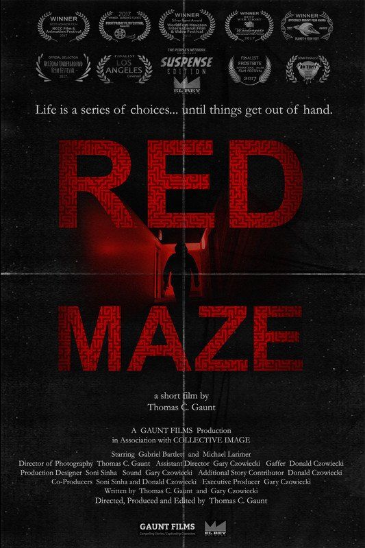 Poster for the film