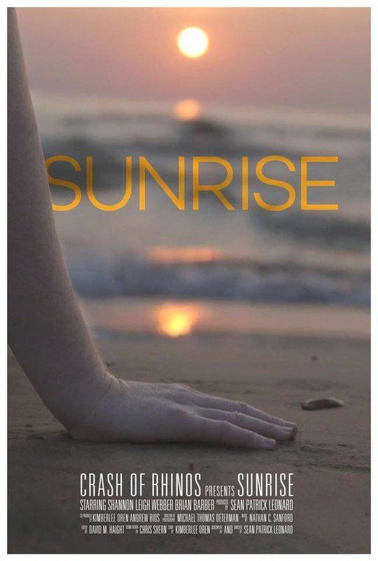 A person's arm and hand on a beach at sunrise; title