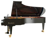 Bösendorfer Grand Piano.