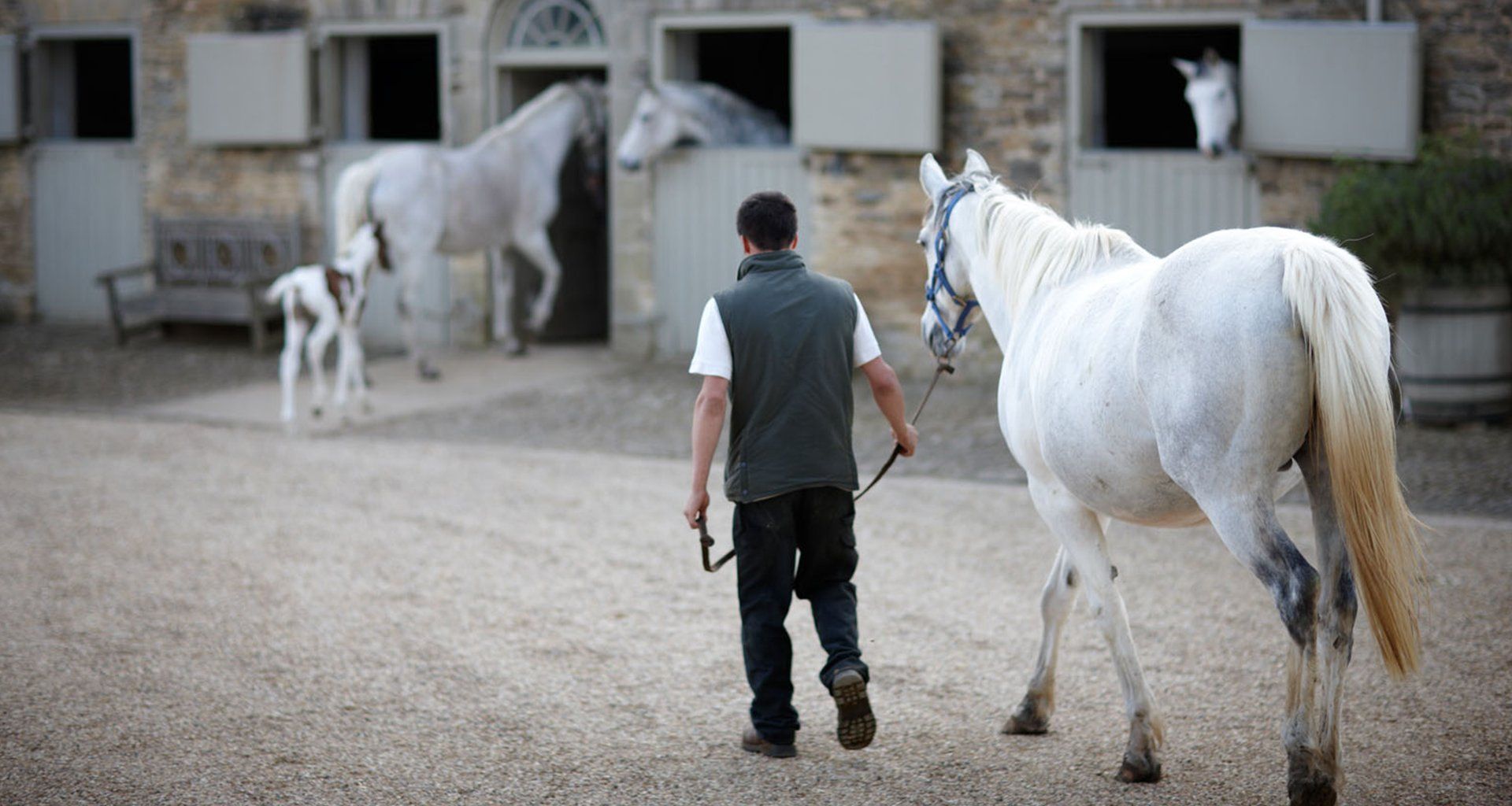 man walking with a horse