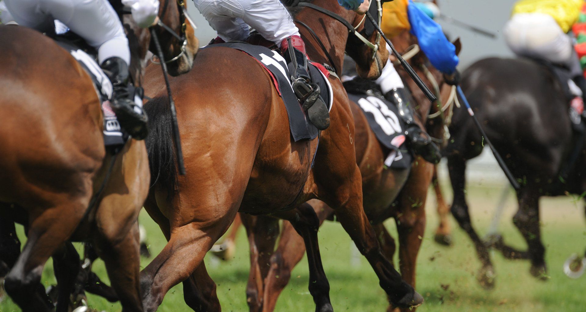 horse riders