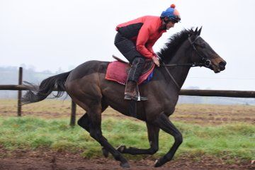 man riding a horse
