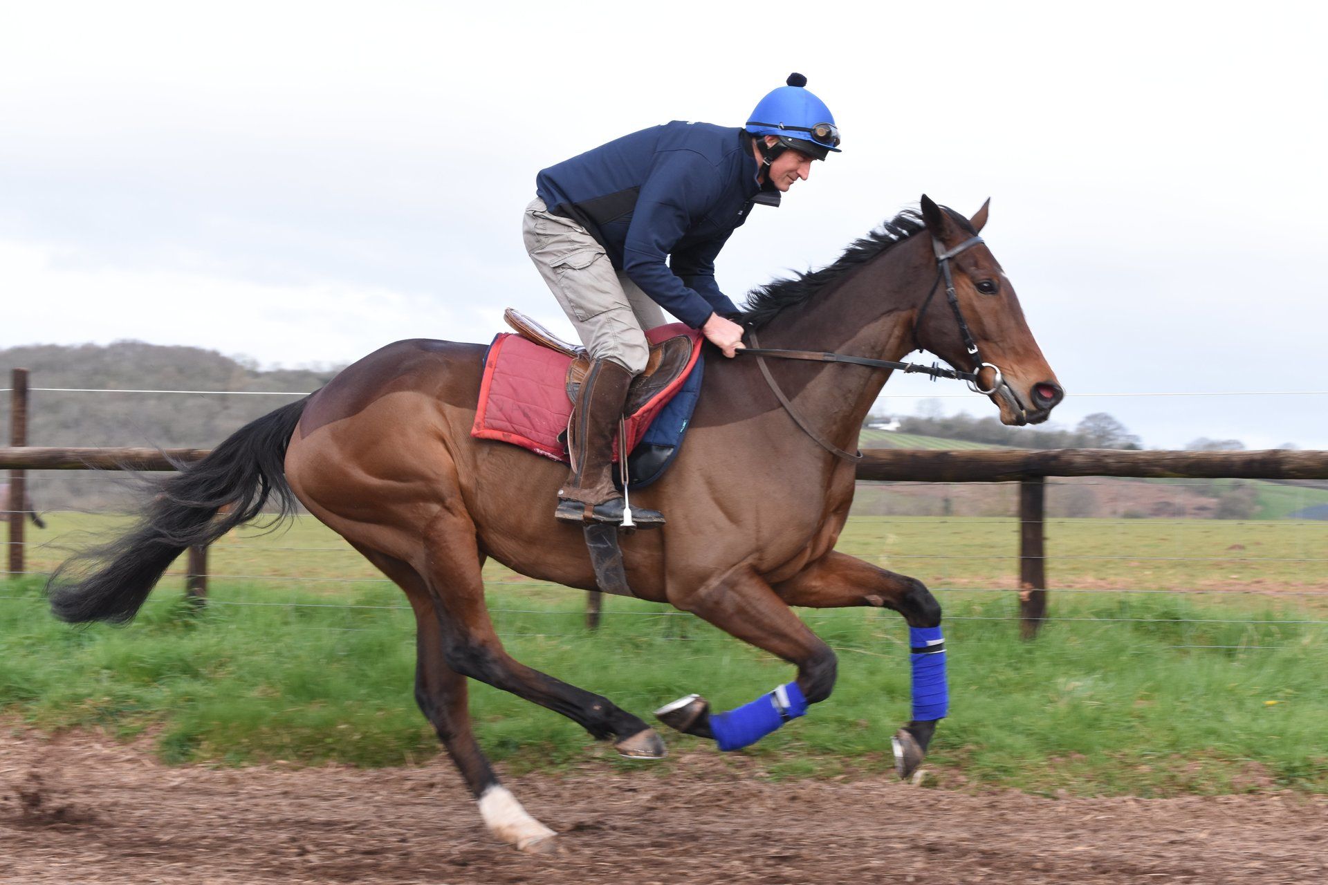 horse riding on the race