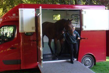 horse fleet