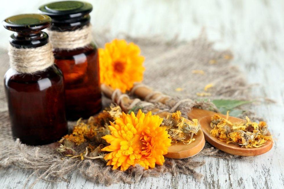 Fitofarmacoterapia