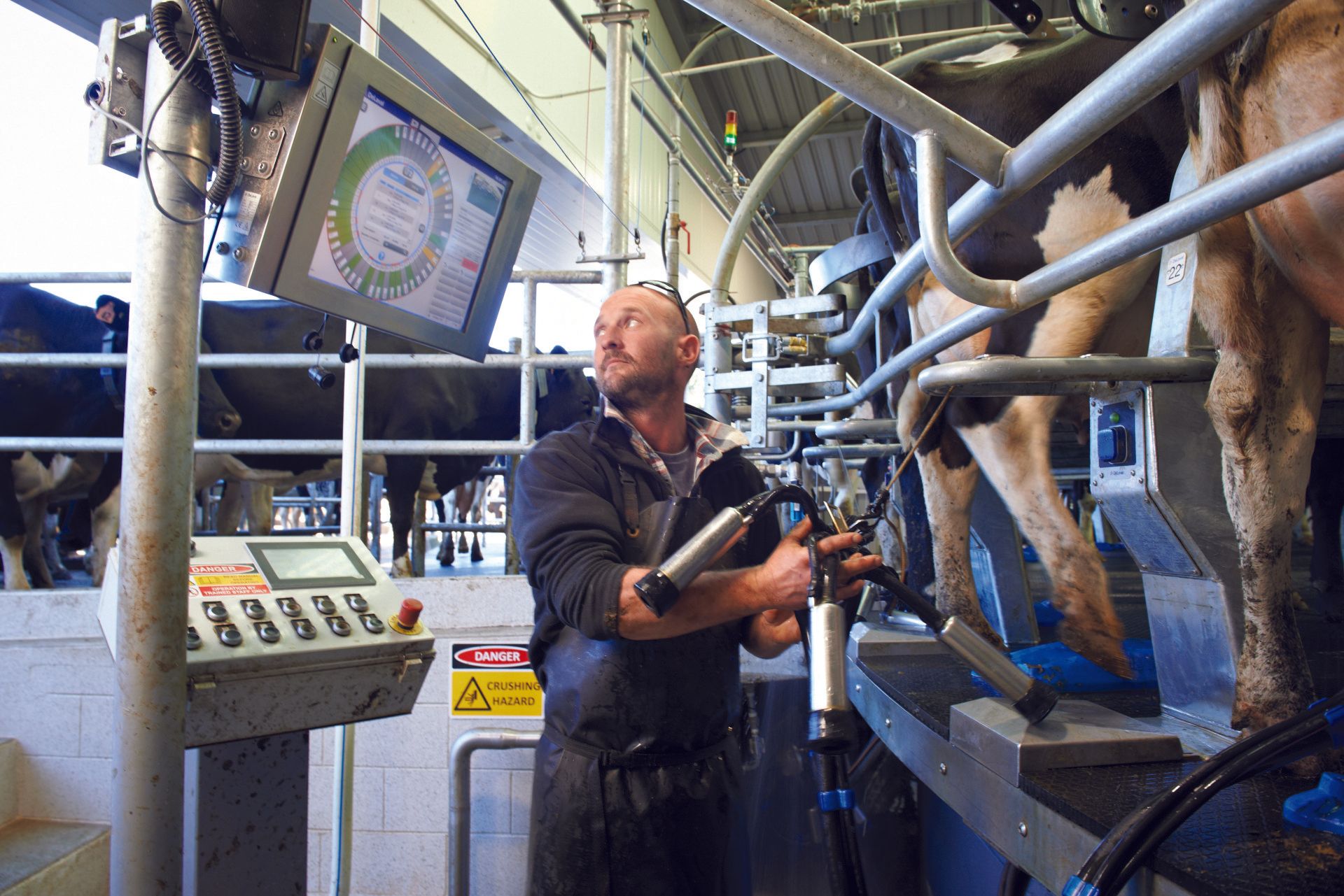 Werknemer in een zuivelfabriek die een machine bedient onder leidingen en monitoren.