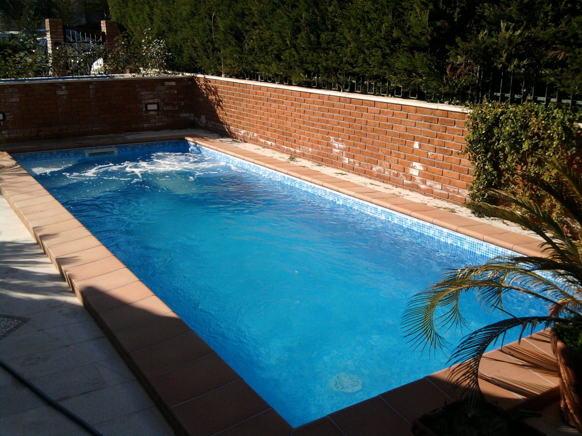 Piscina rettangolare con acqua azzurra, pareti in mattoni e palme in una giornata di sole.