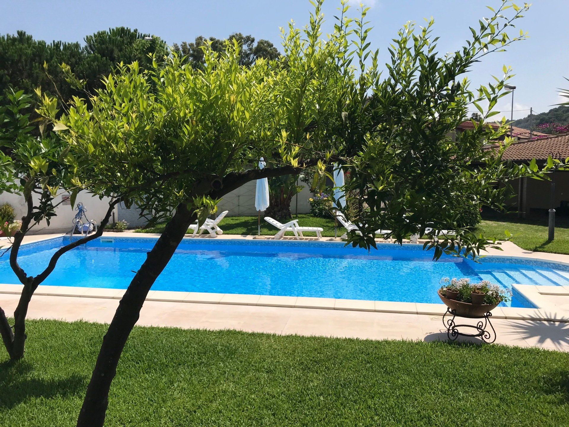Piscina circondata da prato verde, alberi e sedie a sdraio nelle giornate di sole.
