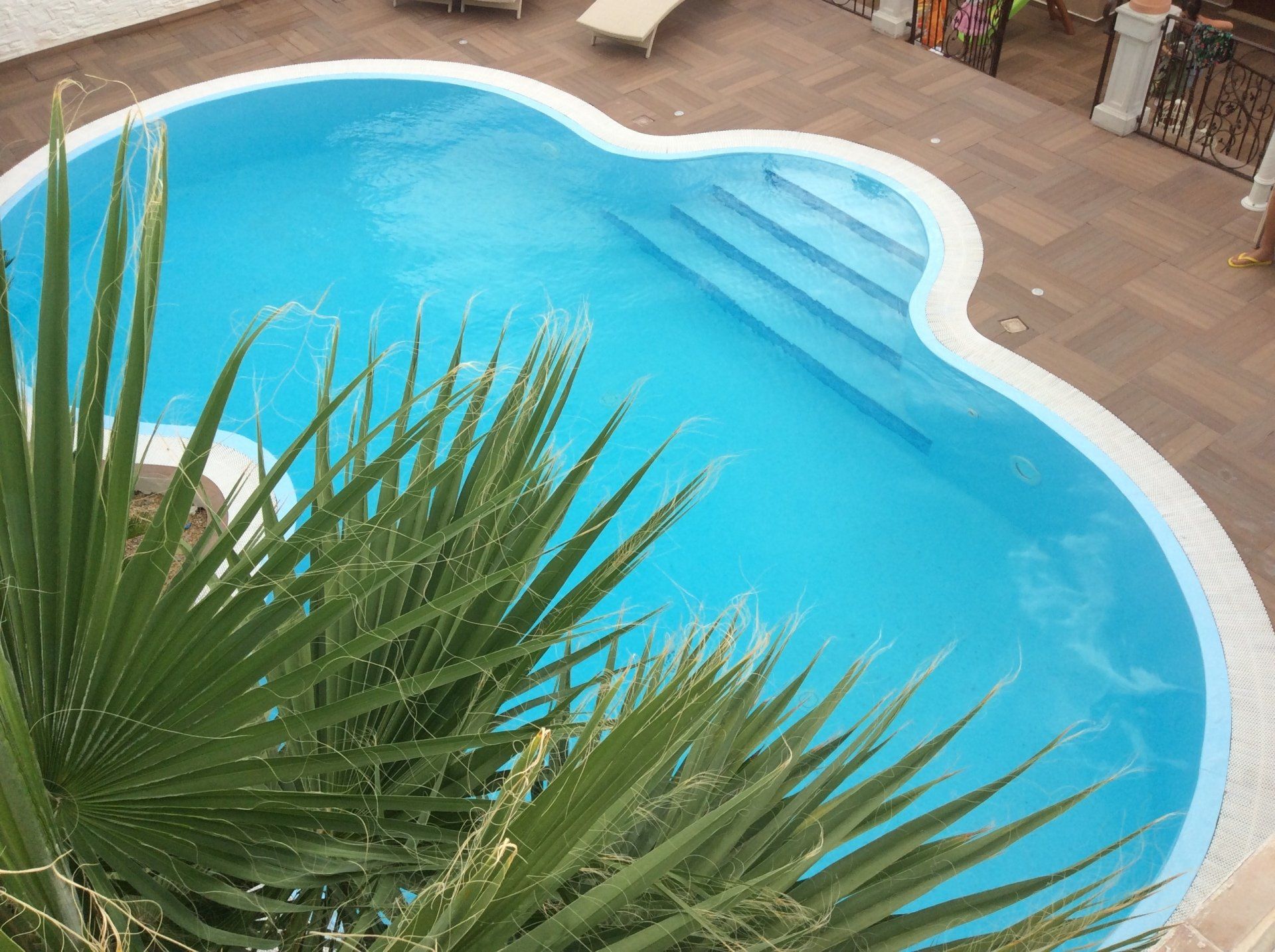 Piscina blu a forma di rene con gradini, circondata da piastrelle marroni. Foglie di palma in primo piano.