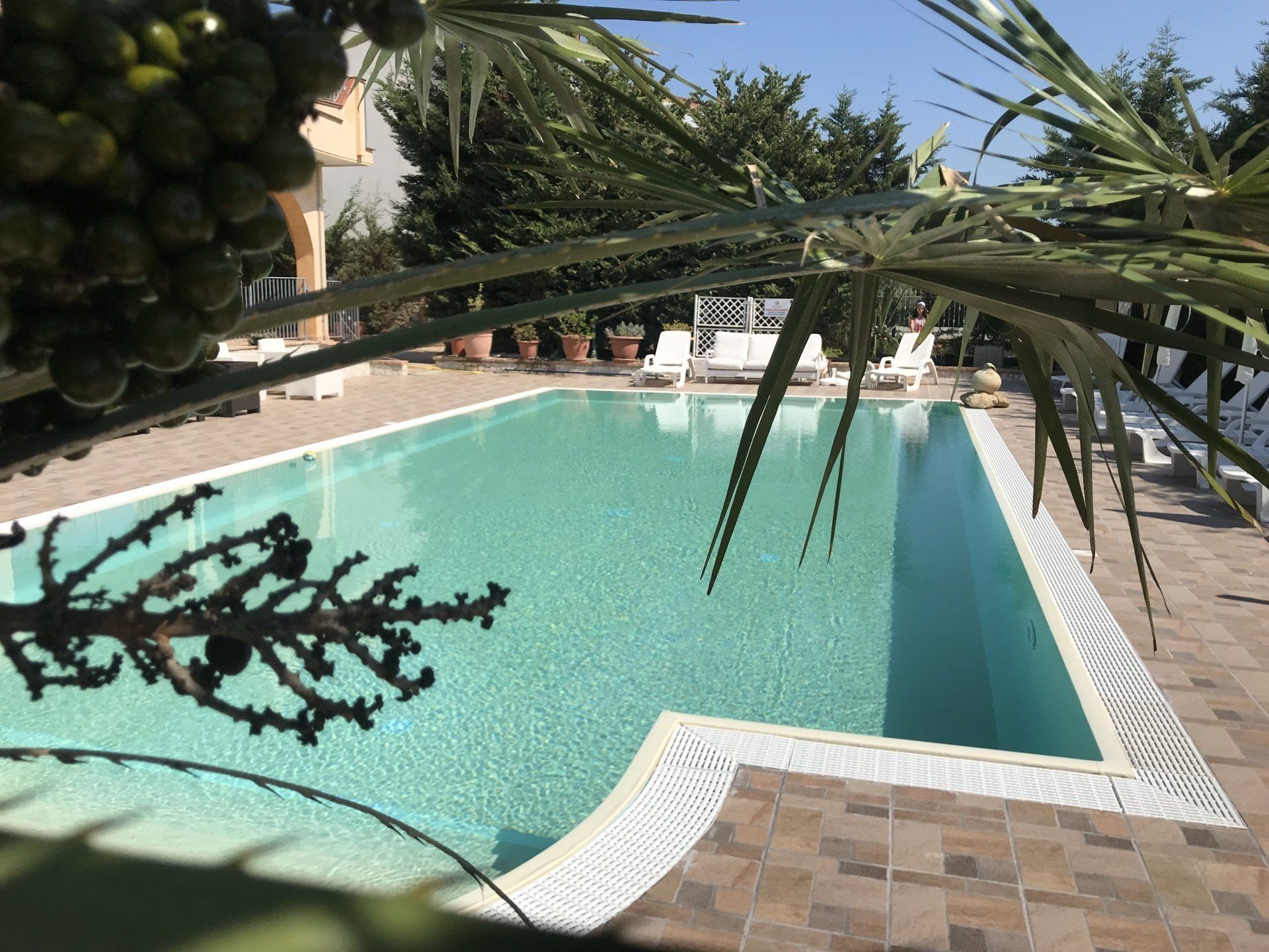 Una piscina rettangolare circondata da un patio in mattoni, visibile attraverso le foglie di palma.