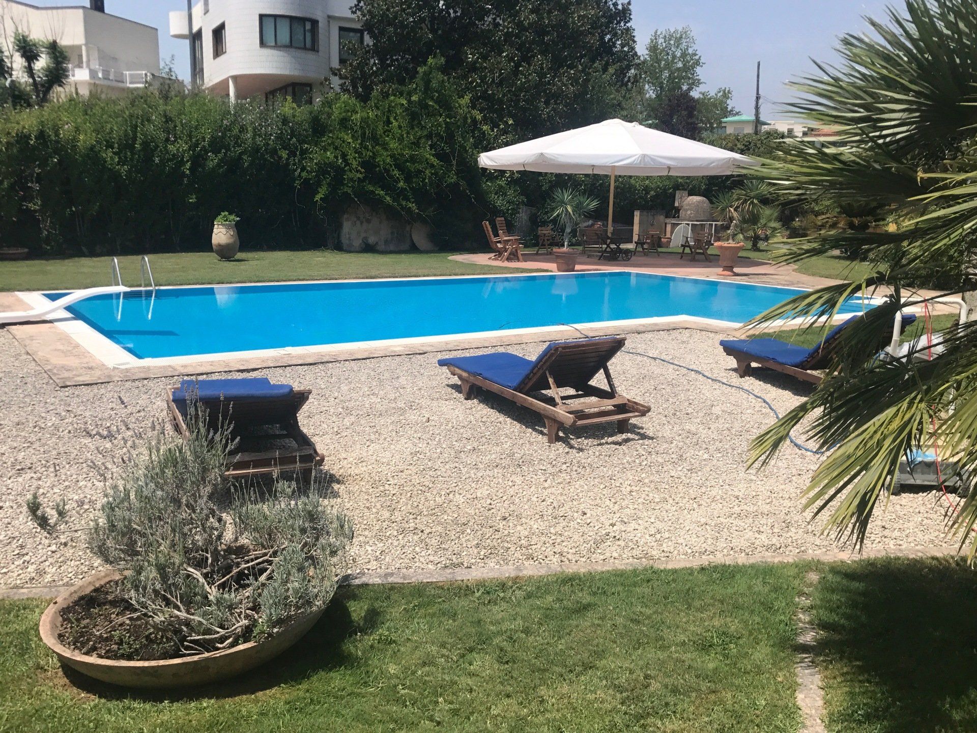 Piscina con acqua azzurra circondata da sedie a sdraio