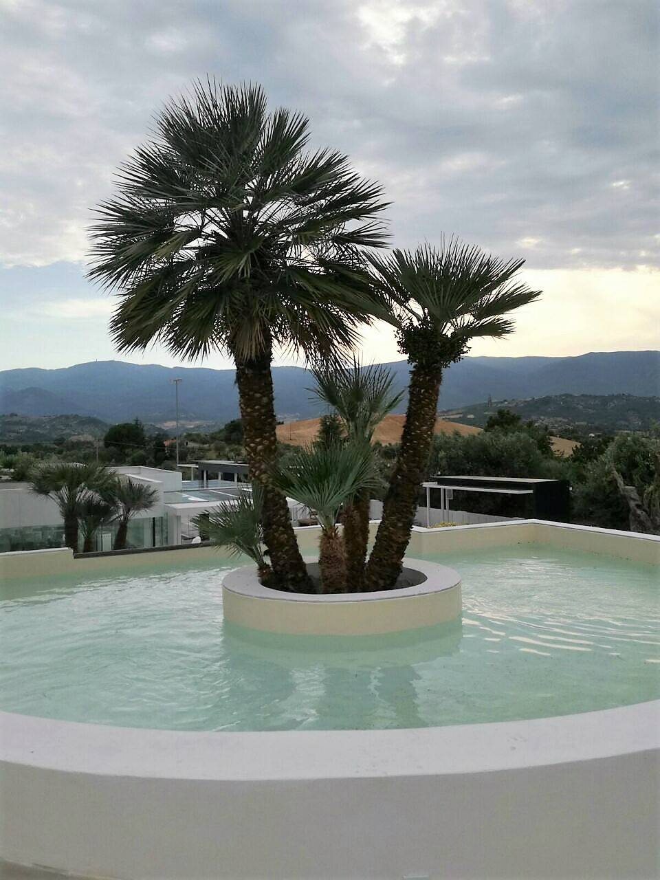 Palme in una piscina circolare, con sullo sfondo montagne e un cielo nuvoloso.