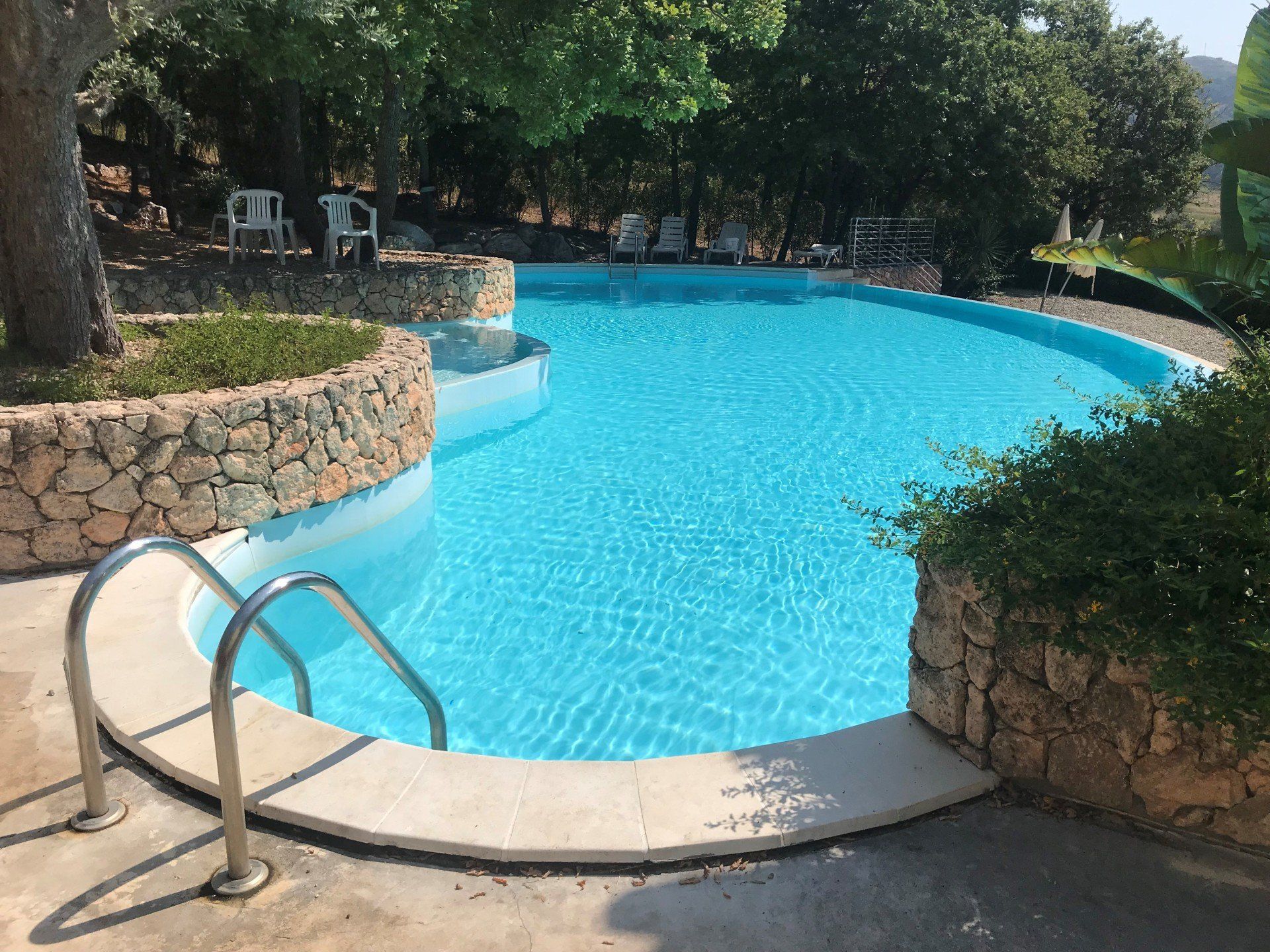 Piscina con acqua cristallina e bordi in pietra, immersa nel verde.