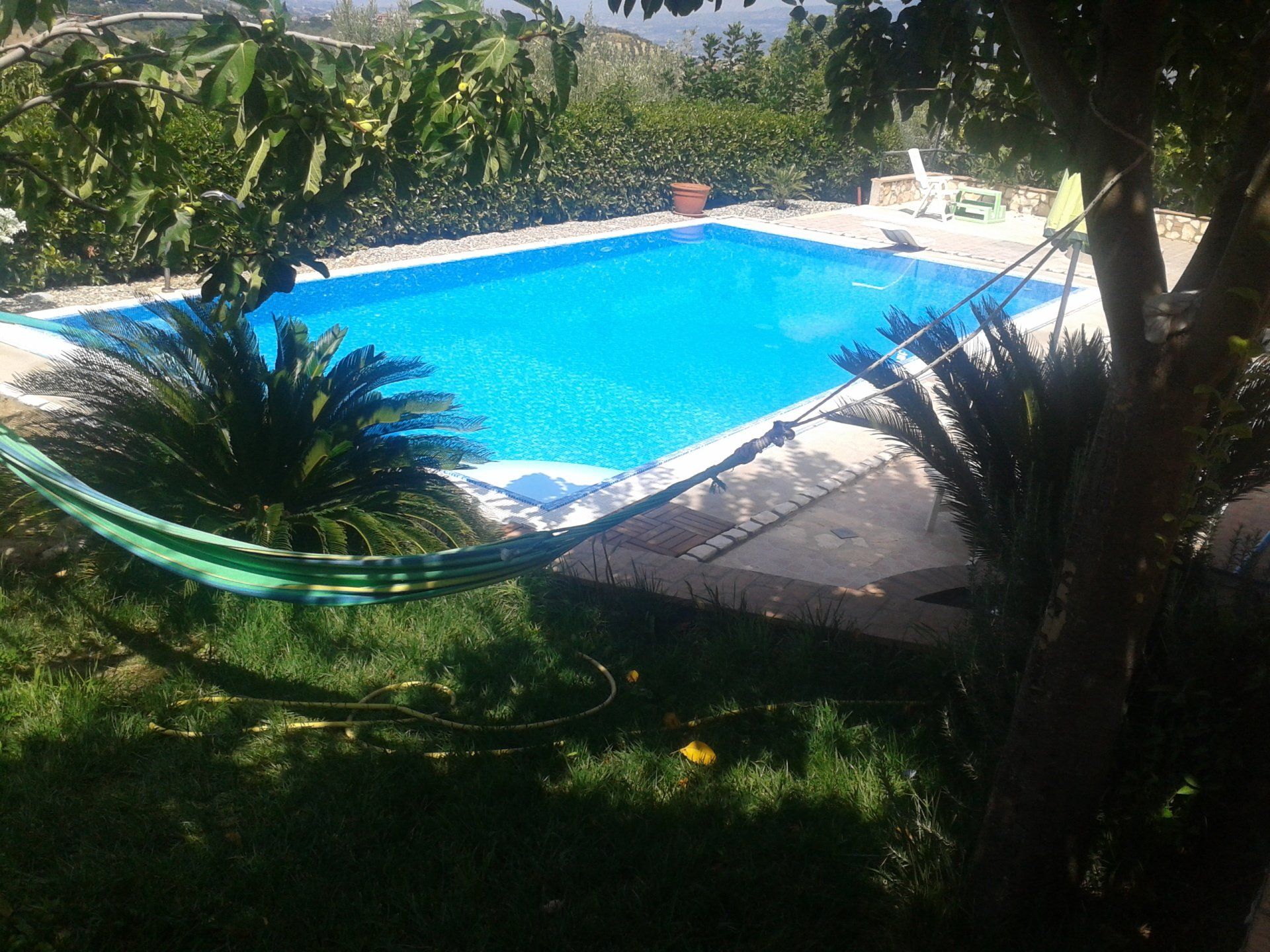 Piscina immersa nel verde con un'amaca in primo piano. Acqua azzurra e luminosa sotto il sole.
