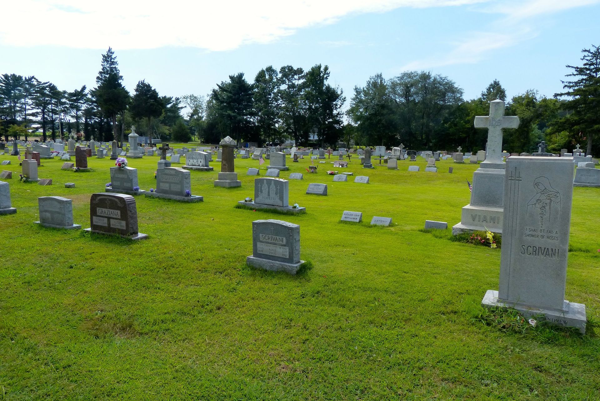 Graveyard with numerous headstones on a grassy field under a sunny sky.