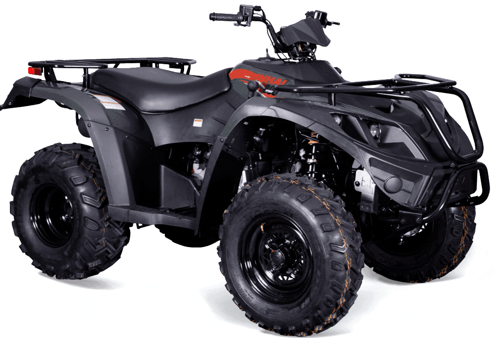 RUSTLER 300 – 4x4