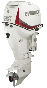 Evinrude 250 HP